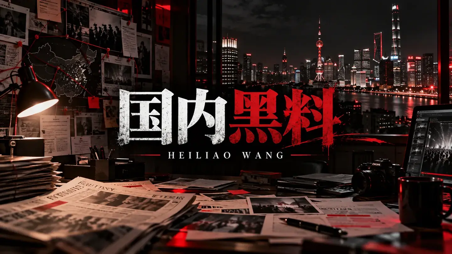 国内公共议题图